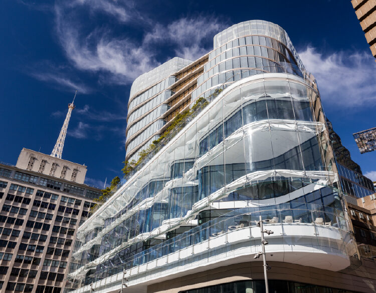 悉尼科技大学研究与教育领域领军人物荣获殊荣