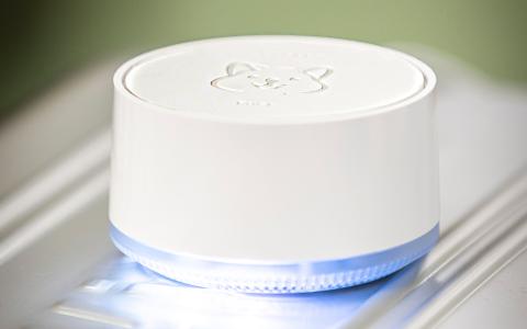 Quokka：迈向计算未来的量子飞跃